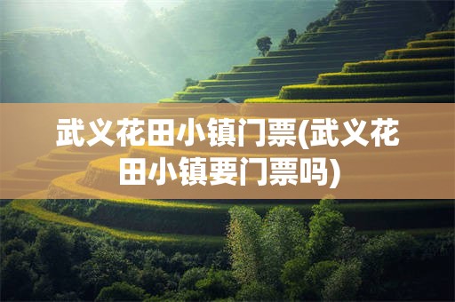 武义花田小镇门票(武义花田小镇要门票吗)