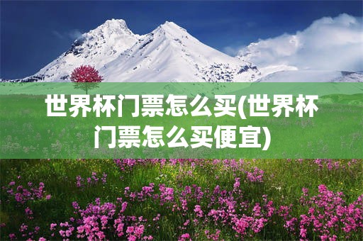 世界杯门票怎么买(世界杯门票怎么买便宜)