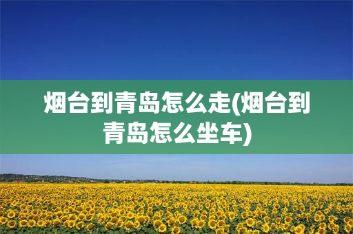 烟台到青岛怎么走(烟台到青岛怎么坐车)