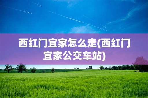 西红门宜家怎么走(西红门宜家公交车站)