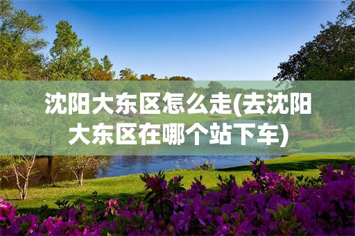 沈阳大东区怎么走(去沈阳大东区在哪个站下车)