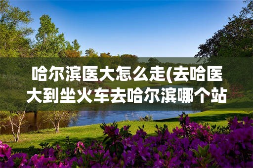 哈尔滨医大怎么走(去哈医大到坐火车去哈尔滨哪个站)