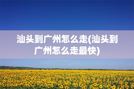 汕头到广州怎么走(汕头到广州怎么走最快)