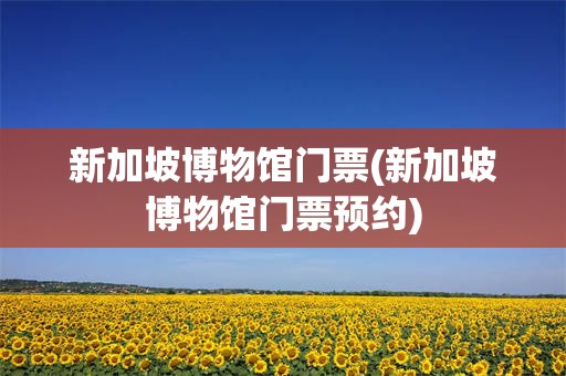 新加坡博物馆门票(新加坡博物馆门票预约)
