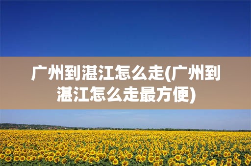 广州到湛江怎么走(广州到湛江怎么走最方便)