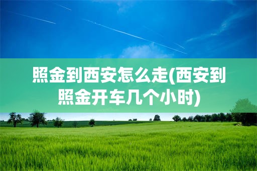 照金到西安怎么走(西安到照金开车几个小时)