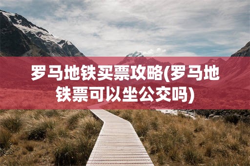 罗马地铁买票攻略(罗马地铁票可以坐公交吗)