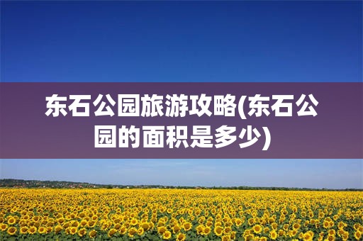 东石公园旅游攻略(东石公园的面积是多少)