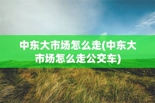 中东大市场怎么走(中东大市场怎么走公交车)