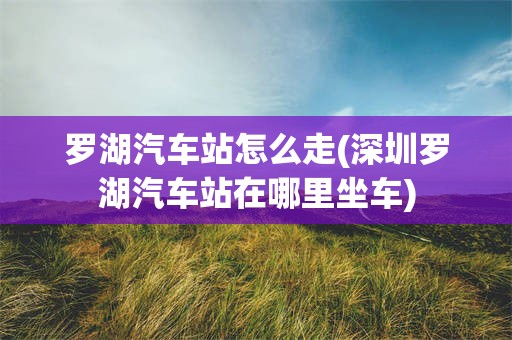 罗湖汽车站怎么走(深圳罗湖汽车站在哪里坐车)