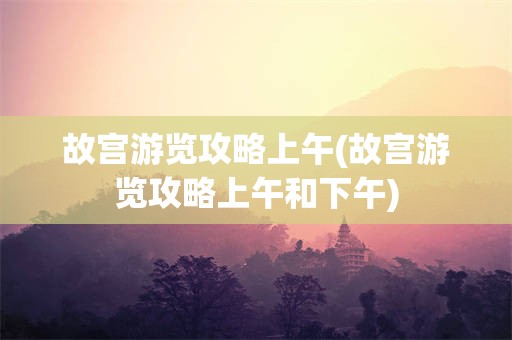 故宫游览攻略上午(故宫游览攻略上午和下午)