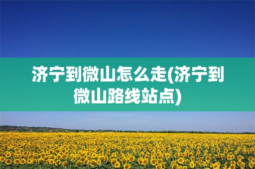 济宁到微山怎么走(济宁到微山路线站点)