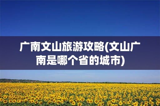 广南文山旅游攻略(文山广南是哪个省的城市)