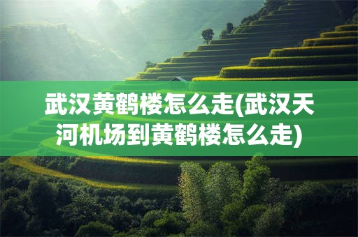武汉黄鹤楼怎么走(武汉天河机场到黄鹤楼怎么走)