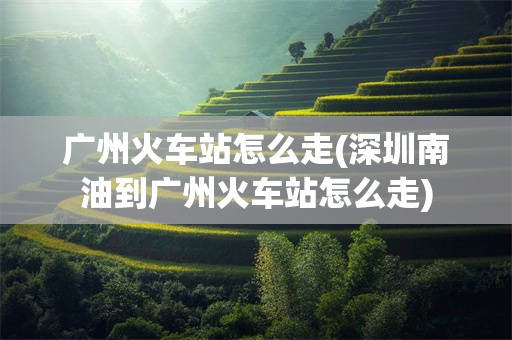 广州火车站怎么走(深圳南油到广州火车站怎么走)
