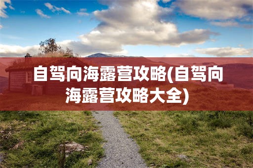 自驾向海露营攻略(自驾向海露营攻略大全)