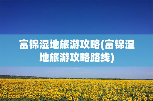 富锦湿地旅游攻略(富锦湿地旅游攻略路线)