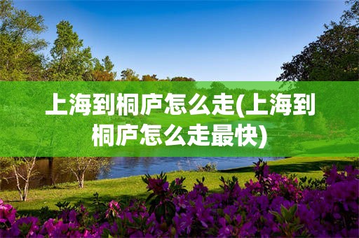 上海到桐庐怎么走(上海到桐庐怎么走最快)