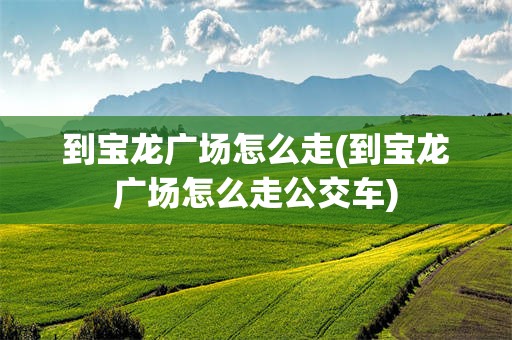 到宝龙广场怎么走(到宝龙广场怎么走公交车)