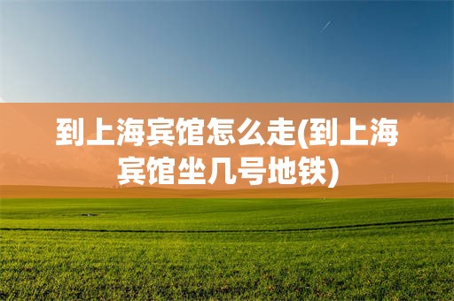 到上海宾馆怎么走(到上海宾馆坐几号地铁)
