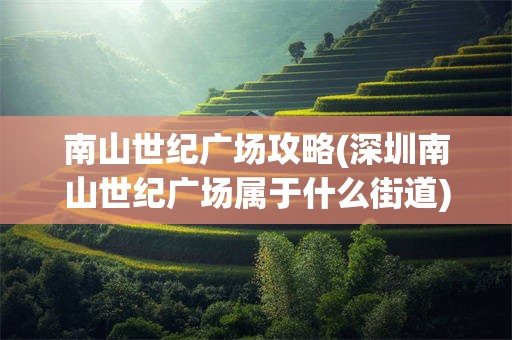 南山世纪广场攻略(深圳南山世纪广场属于什么街道)