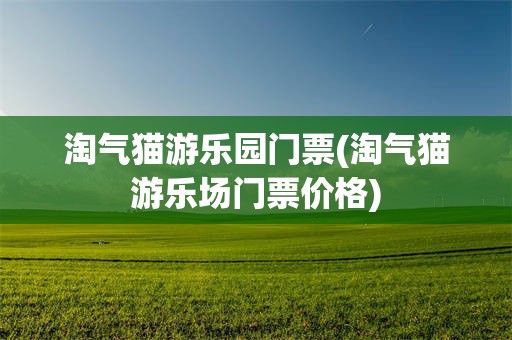 淘气猫游乐园门票(淘气猫游乐场门票价格)