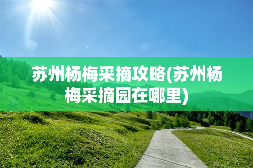 苏州杨梅采摘攻略(苏州杨梅采摘园在哪里)
