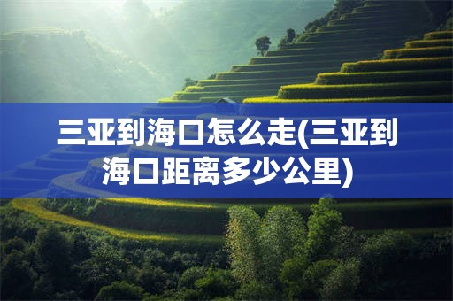 三亚到海口怎么走(三亚到海口距离多少公里)