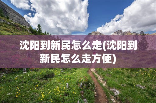 沈阳到新民怎么走(沈阳到新民怎么走方便)