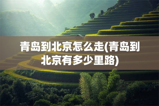 青岛到北京怎么走(青岛到北京有多少里路)