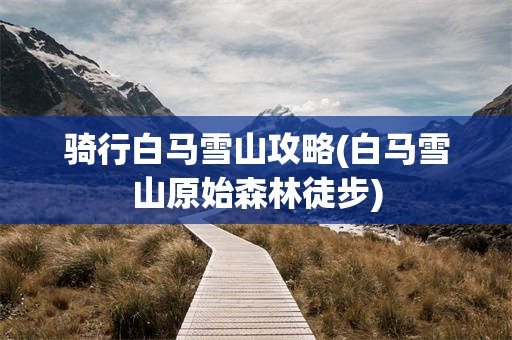 骑行白马雪山攻略(白马雪山原始森林徒步)