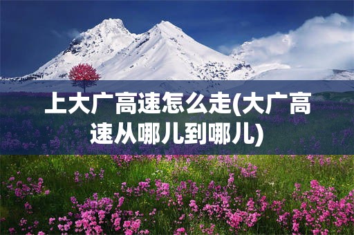 上大广高速怎么走(大广高速从哪儿到哪儿)