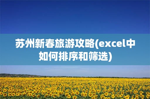 苏州新春旅游攻略(excel中如何排序和筛选)