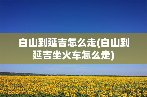 白山到延吉怎么走(白山到延吉坐火车怎么走)