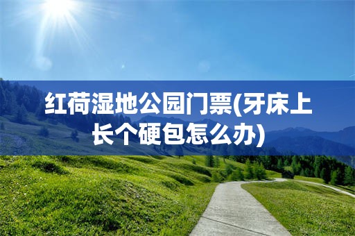 红荷湿地公园门票(牙床上长个硬包怎么办)