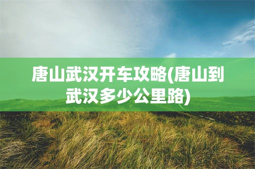 唐山武汉开车攻略(唐山到武汉多少公里路)
