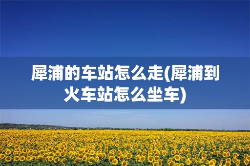 犀浦的车站怎么走(犀浦到火车站怎么坐车)