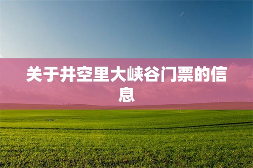 关于井空里大峡谷门票的信息