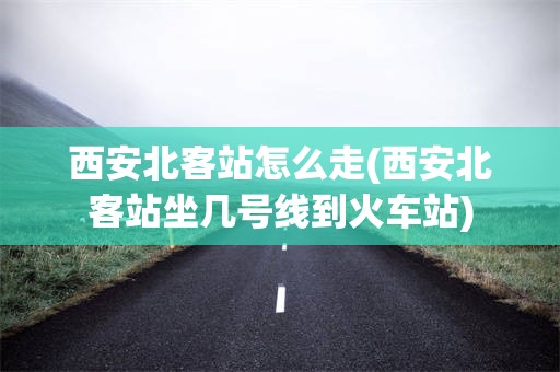 西安北客站怎么走(西安北客站坐几号线到火车站)