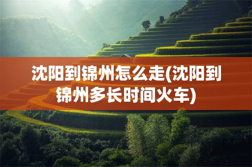 沈阳到锦州怎么走(沈阳到锦州多长时间火车)