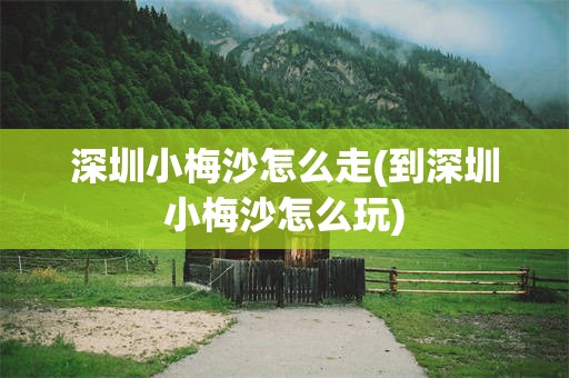 深圳小梅沙怎么走(到深圳小梅沙怎么玩)