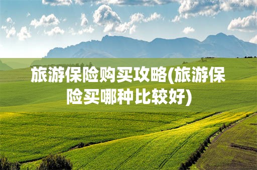 旅游保险购买攻略(旅游保险买哪种比较好)