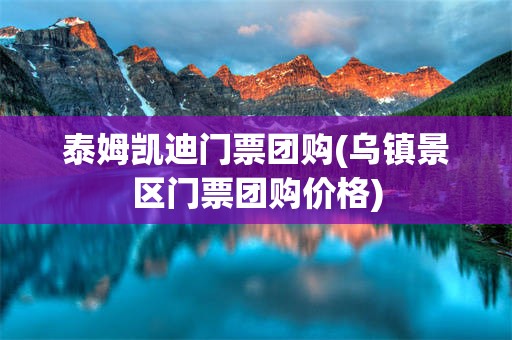泰姆凯迪门票团购(乌镇景区门票团购价格)