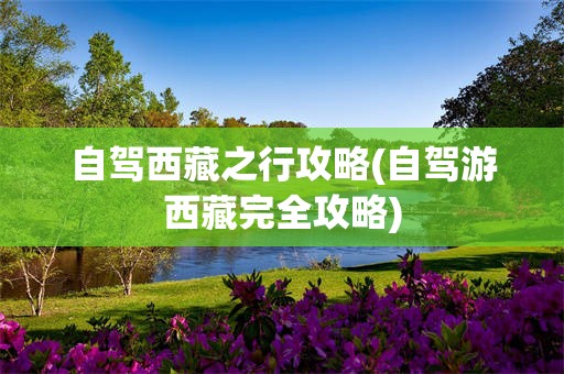自驾西藏之行攻略(自驾游西藏完全攻略)