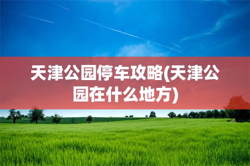 天津公园停车攻略(天津公园在什么地方)