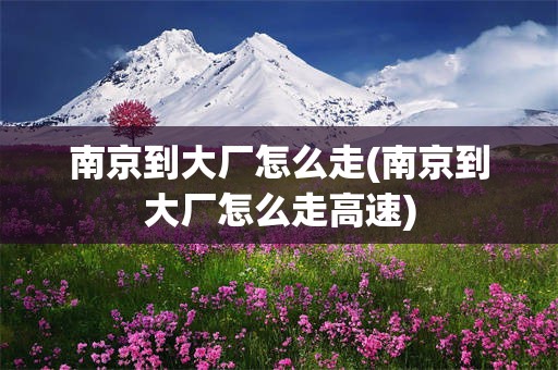 南京到大厂怎么走(南京到大厂怎么走高速)