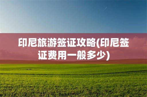 印尼旅游签证攻略(印尼签证费用一般多少)
