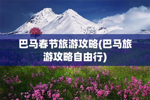 巴马春节旅游攻略(巴马旅游攻略自由行)