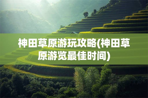 神田草原游玩攻略(神田草原游览最佳时间)