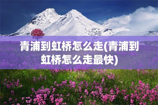 青浦到虹桥怎么走(青浦到虹桥怎么走最快)